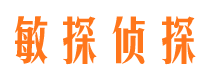 顺平市侦探公司